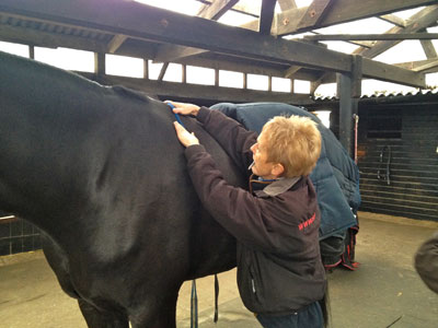 Saddle Fitting