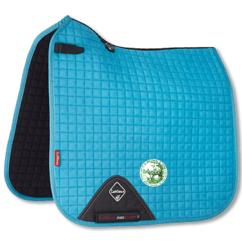 Lemieux suede dressage square